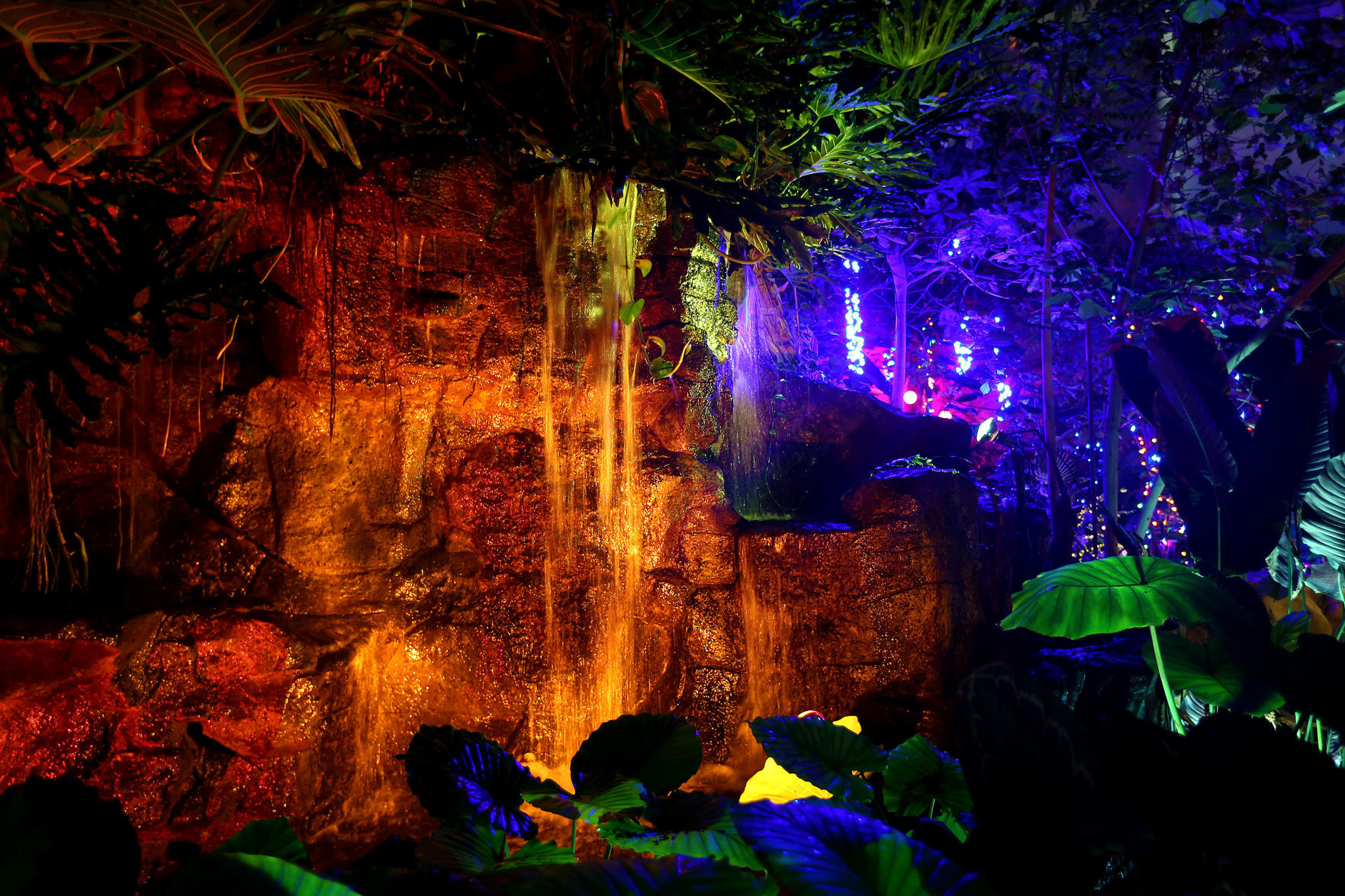 112718-botanical-lights-006
